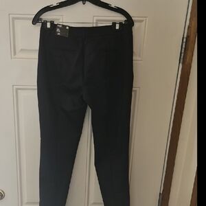 EXPRESS Elegant Columnist Pants